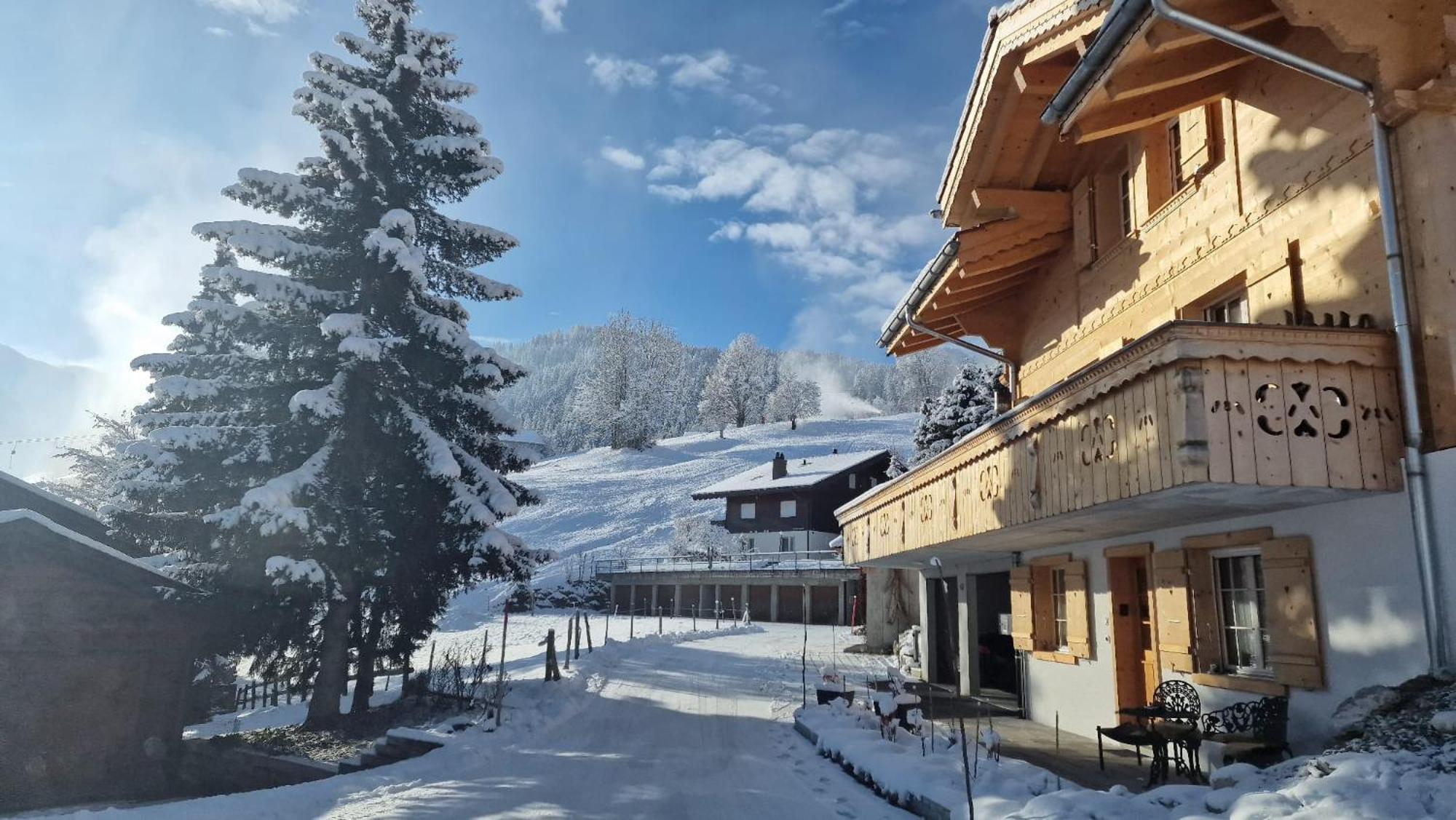 Large Deluxe Studio For 2 - Chalet Lovo Lenk Exterior foto