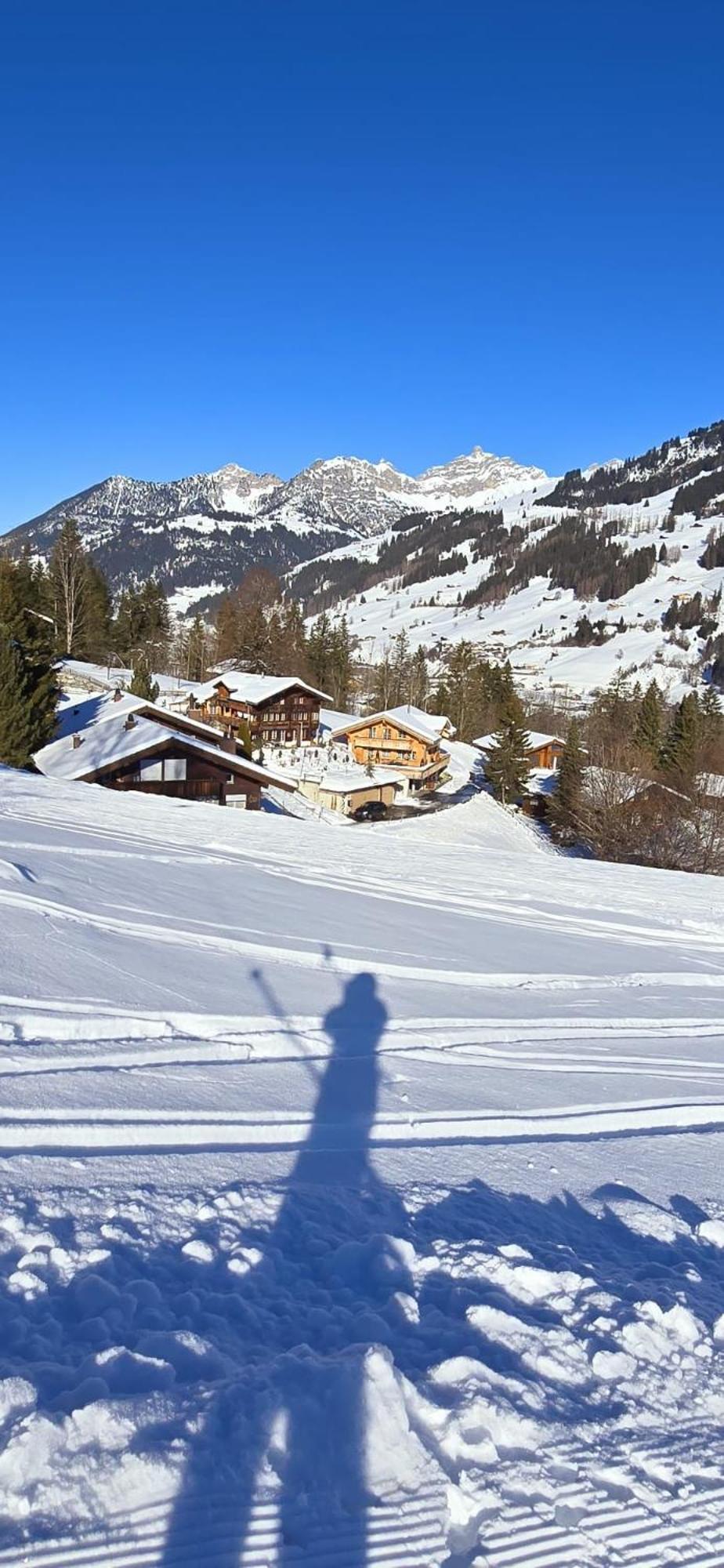 Large Deluxe Studio For 2 - Chalet Lovo Lenk Exterior foto