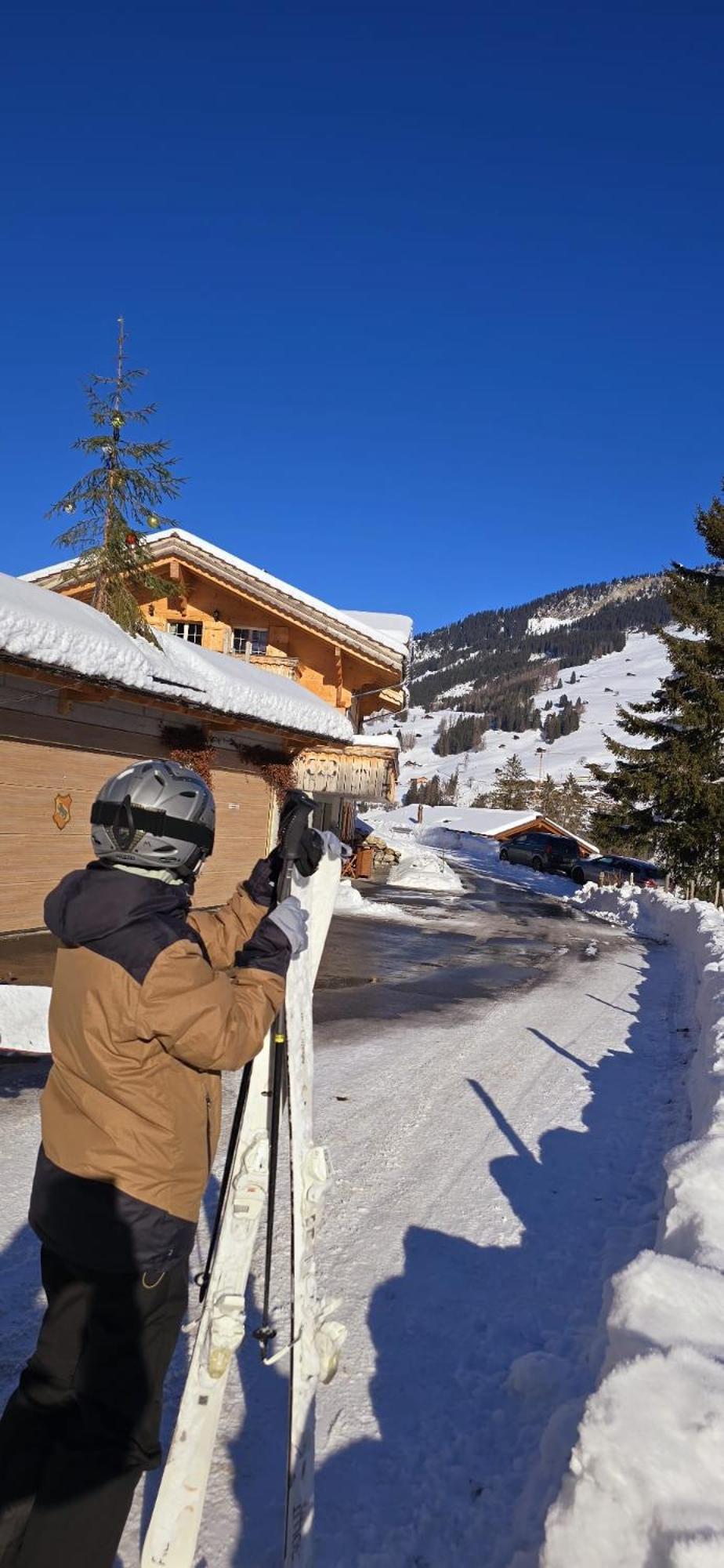 Large Deluxe Studio For 2 - Chalet Lovo Lenk Exterior foto