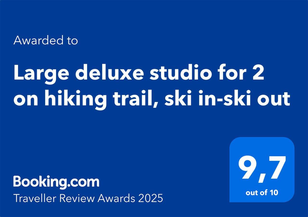 Large Deluxe Studio For 2 - Chalet Lovo Lenk Exterior foto